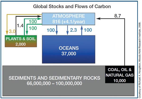 Abbildung: Kohlenstoff in Gigatonnen